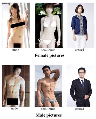 Frontiers | The East Asian Erotic Picture Dataset and Gender Differences in  Response to Opposite-Sex Erotic Stimuli in Chinese College Students